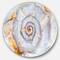 Designart - Great Skeleton of Sea Shell' Disc Oversized Animal Wall Art
